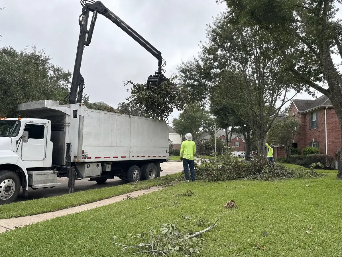 Dump truck grapple loading a brush pile from the curb