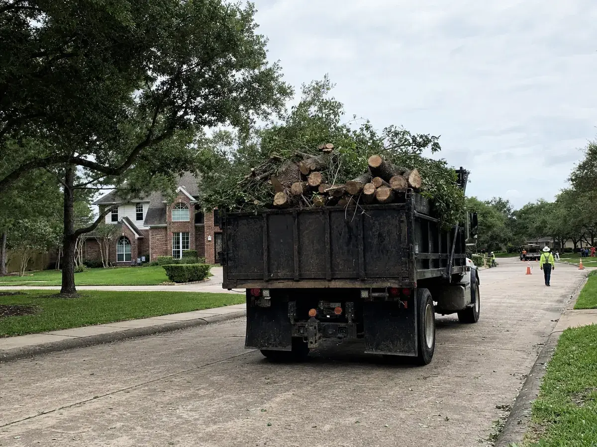 Dump truck loaded with logs and brush leaving a swept curb