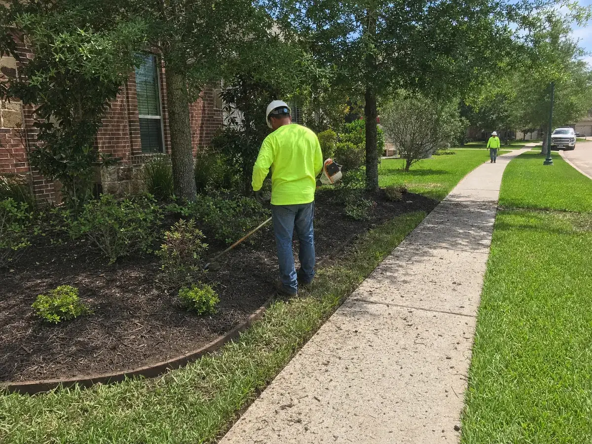 String edger cutting a crisp edge along a sidewalk and flower bed
