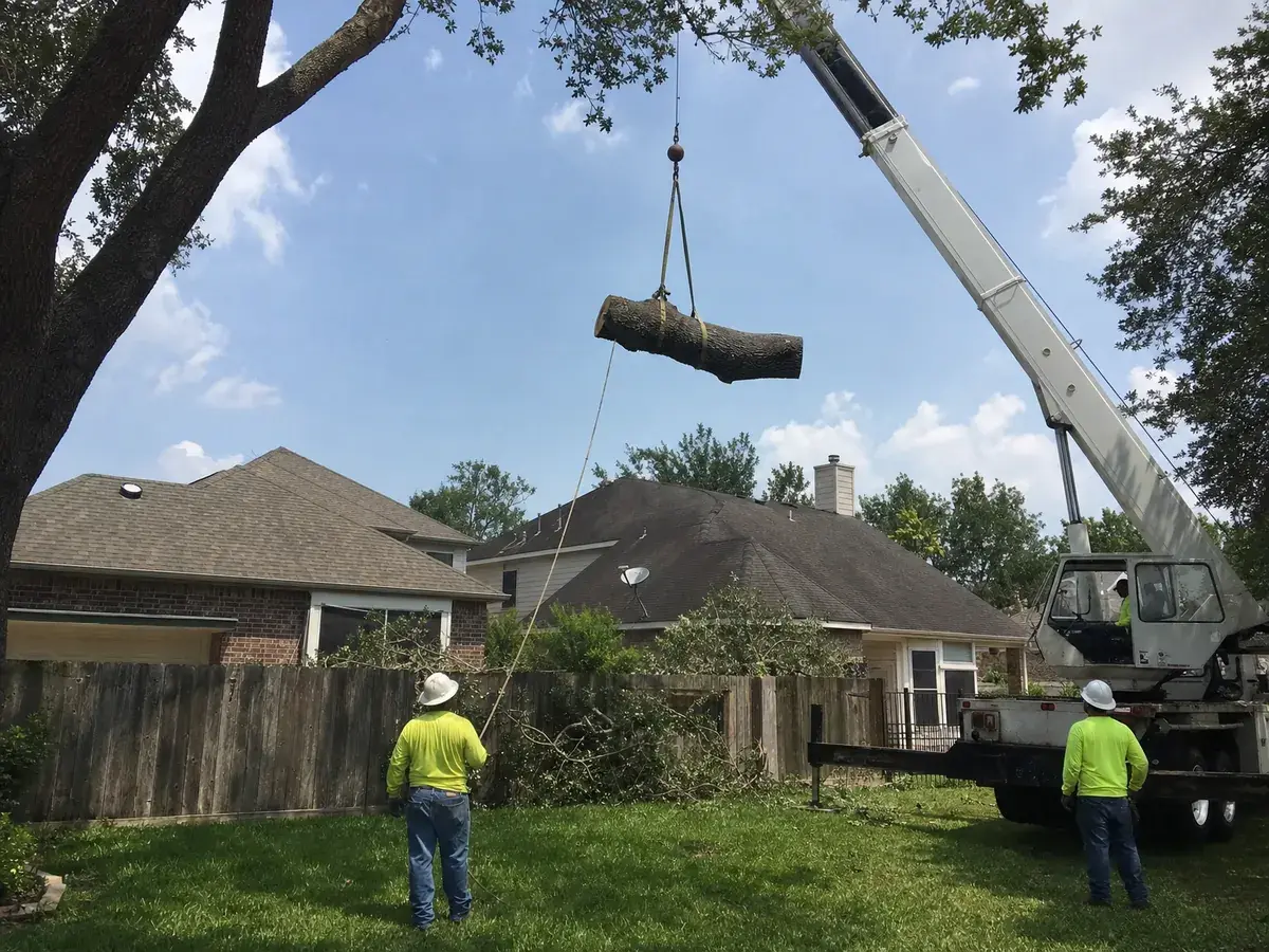 Crane lifting a section of oak trunk over a backyard fence