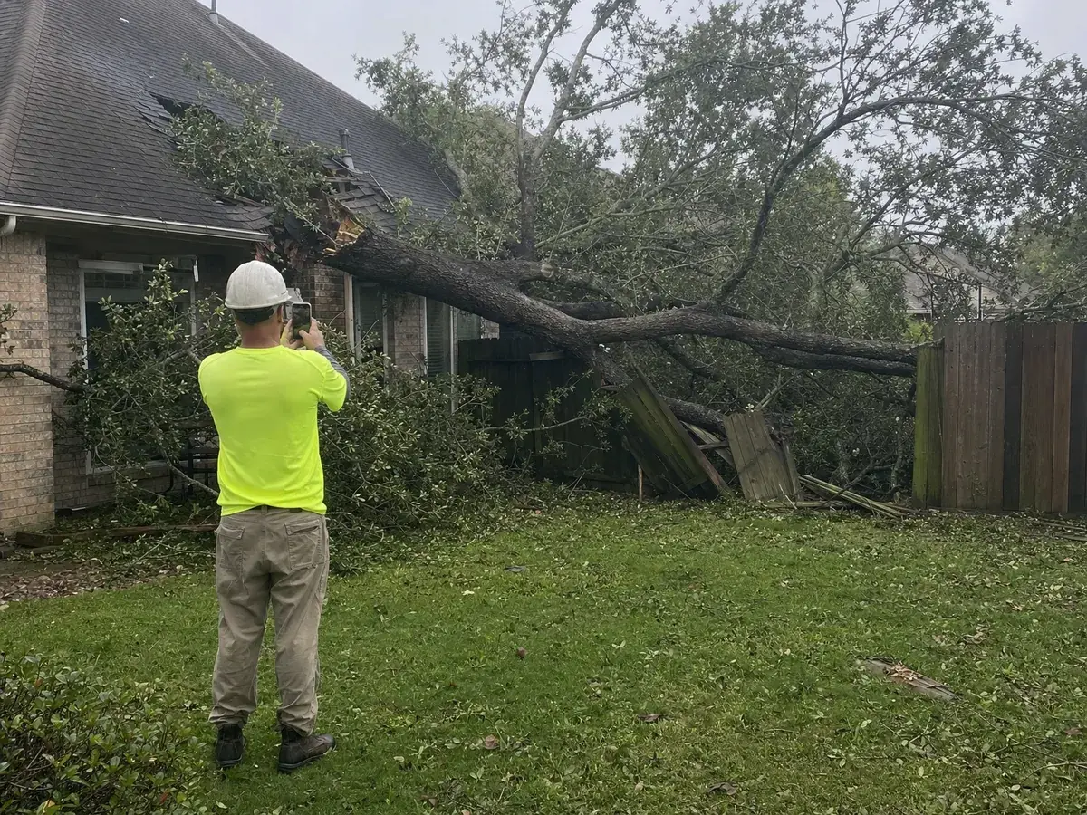 Live oak limb fallen on a house roof and fence after a storm