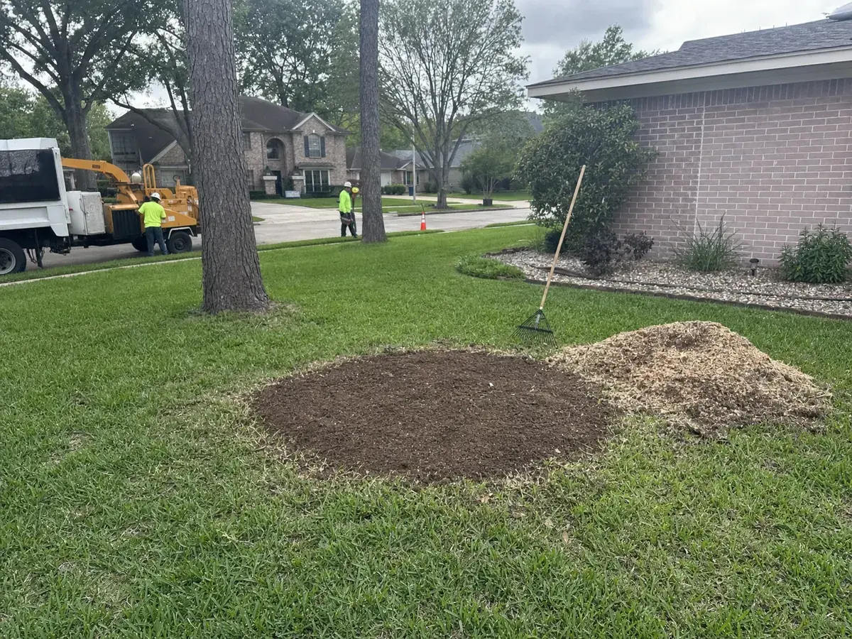 Leveled soil in a front lawn where a stump was ground out