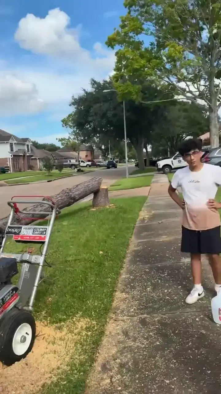 Stump Grinding & Lot Clearing by Brazos Land & Tree Co. in Sugar Land, TX